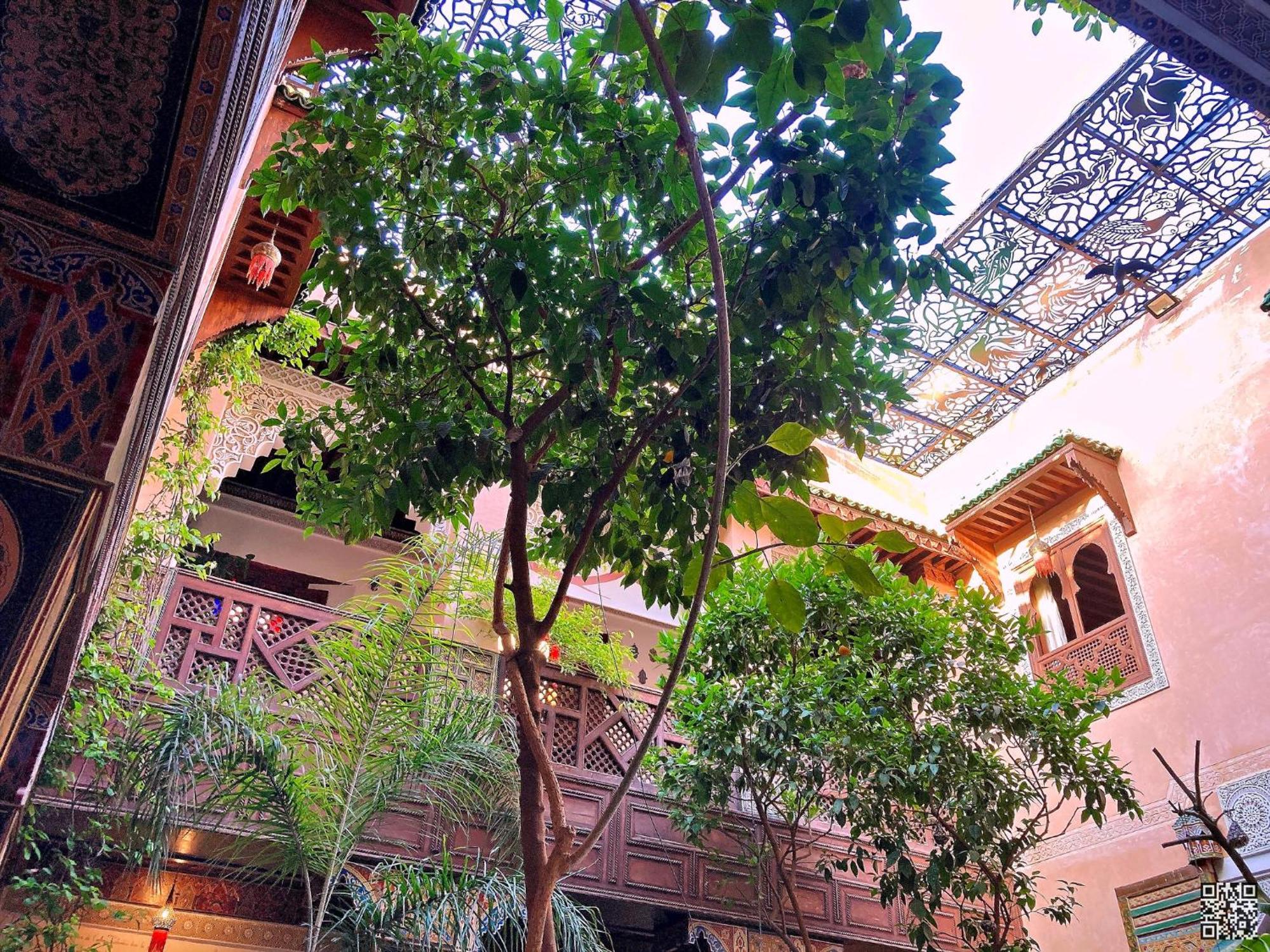Riad Toyour- Riad Of Birds Fes Luaran gambar
